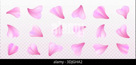 Rosafarbene Blütenblätter isoliert auf transparentem Hintergrund. Vektor realistische Illustration der Rose oder Sakura Herzform Blüte, Design Elemente für romantisches Poster, Hochzeitsgrußkarte, Spa Banner Stock Vektor