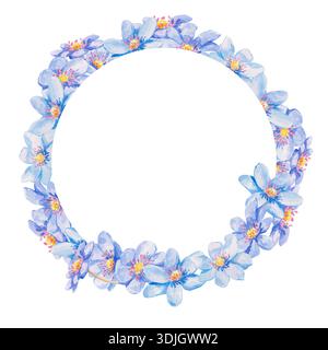 Eine zierliche quadratische Aquarellillustration mit einem Kranz aus blauen hepatica-Blüten. Die Blumenanordnung ist auf weißem Hintergrund für spri isoliert Stockfoto