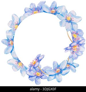 Eine zierliche quadratische Aquarellillustration mit einem Kranz aus blauen hepatica-Blüten. Die Blumenanordnung ist auf weißem Hintergrund für spri isoliert Stockfoto