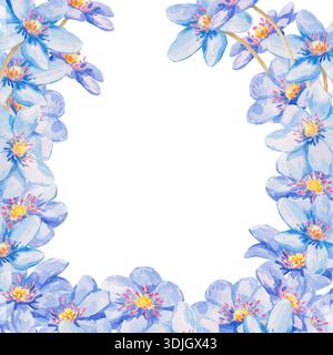 Eine zierliche quadratische Aquarellillustration mit einem Kranz aus blauen hepatica-Blüten. Die Blumenanordnung ist auf weißem Hintergrund für spri isoliert Stockfoto
