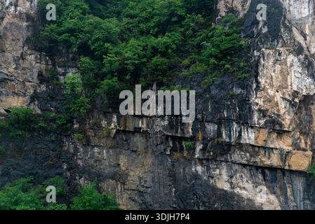 Eine steile Klippe mit grünen Bäumen, die von oben und an den Seiten wachsen, zeigt mehrschichtige Felsformationen. Stockfoto