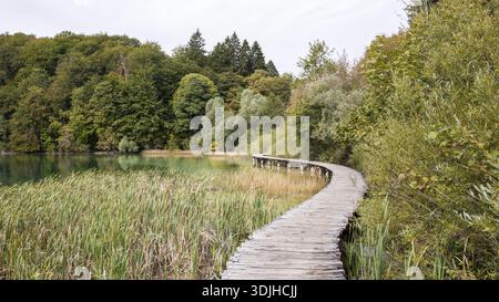 Der Blick auf eine gewundene Holzpromenade führt durch hohes Schilf neben einem ruhigen See und spiegelt den üppig grünen Wald, die Plitvicer Seen, Karlo, wider Stockfoto