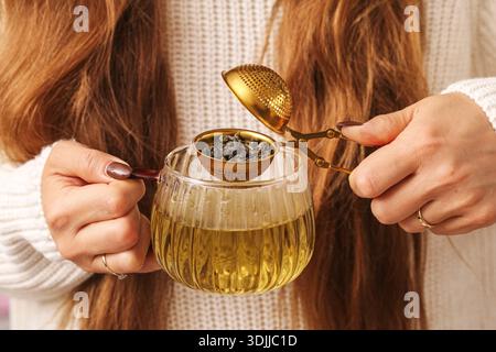 Halten Sie Tee-Infuser gefüllt mit grünem, losem Blatt-Tee über dem Glasbecher. Schritt zur Zubereitung von Kräutergetränken. Großaufnahme der Hände mit Teesieb. Stockfoto