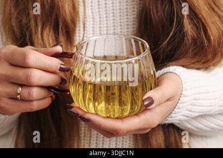 Glasbecher mit heißem Tee in weiblichen Händen. Warmes Getränk aus nächster Nähe. Gemütlicher Lifestyle-Moment drinnen. Komfortkonzept für den Herbst. Entspannende Getränke. Stockfoto