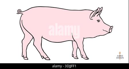 Schweinefleisch, Schwein, Schwein, Fleischskizze, handgezeichnet Stock Vektor