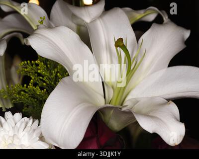 Eleganter Blumenstrauß mit weißen Lilien, Chrysanthemen und roten Rosen Stockfoto