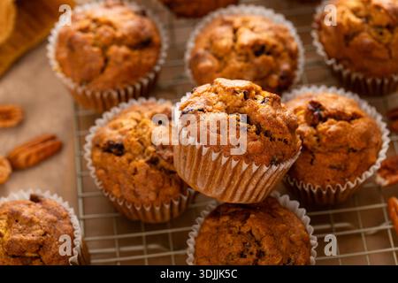 Gesunde Kürbismuffins mit Hafer, trockener Preiselbeere und Pekannüssen auf einem Kühlregal Stockfoto