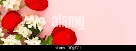 Frühlingshintergrund, blühende Apfelbaumzweige und rote Tulpen auf rosa Hintergrund, Kopierraum, Banner Stockfoto