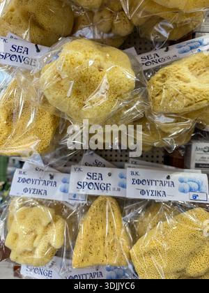 Natürliche Meeresschwämme (Sphongaria physika). Badeprodukte für den Meeresbereich, Einzelhandel in einem Geschäft in Athen, Griechenland. Organisches Reinigungsmittel. Stockfoto