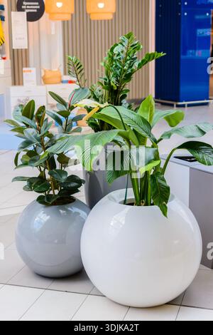 Kasan/Russland - 10. Mai 2019: Interessante und ungewöhnliche Töpfe für Pflanzen mit abgerundeten Formen. Kreativer Innenraum. Stockfoto