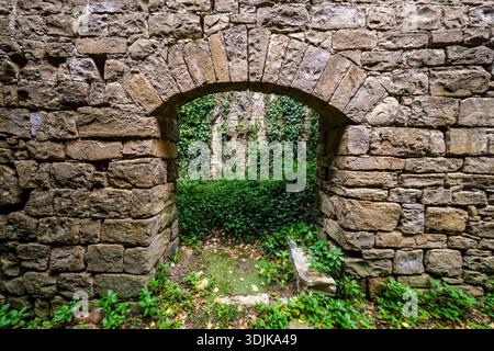 Steinbogen einer mittelalterlichen Ruine in Završje, mit Blick auf einen dicht bewachsenen Innenhof mit grünem Efeu und wilden Pflanzen. Stockfoto