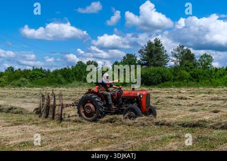 Ein Bauer fährt einen alten roten Traktor durch ein Heufeld in Bale. Er zeigt auf die üppig grünen Bäume und Wolken in der Ferne. Stockfoto