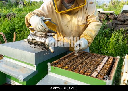 Imker, der zwischen Holzbienhäusern in einem ländlichen Bienenhaus arbeitet. Die traditionelle Bienenzucht konzentrierte sich auf nachhaltige Landwirtschaft, biologische Vielfalt und Envir Stockfoto