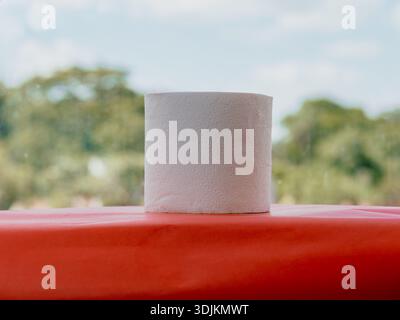 Foto einer Rolle weißes Toilettenpapier auf roter Oberfläche mit verschwommenem Hintergrund und natürlichem Licht. Nützlich für Inhalte in den Bereichen Hygiene, Reinigung, Hom Stockfoto