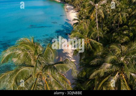 Erleben Sie die atemberaubende Schönheit des Takhian Beach in Koh Kood, Thailand, mit seinem weichen Sand, pulsierenden Palmen und dem ruhigen türkisfarbenen Wasser, ide Stockfoto