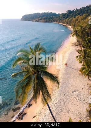 Erleben Sie die ruhige Atmosphäre des Takhian Beach auf Koh Kood, Thailand. Üppige grüne Palmen schwanken sanft, während Paare entlang der unberührten Sprosse spazieren Stockfoto
