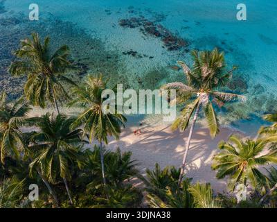 Erleben Sie die ruhige Schönheit des Takhian Beach in Koh Kood, Thailand, wo sanfter Sand auf klares Wasser trifft und üppige Palmen sanft im Wind wiegen Stockfoto