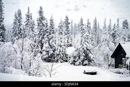 Hütte im verschneiten Winterwald bei Gaustablikk, einem berühmten Wintersportgebiet in Telemark, Norwegen. Stockfoto