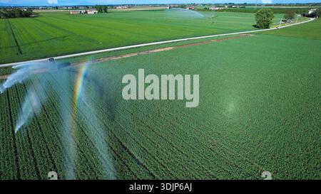 Ein Blick aus der Vogelperspektive auf ein großes landwirtschaftliches Feld im Potal, Italien, wo ein zentrales Bewässerungssystem aktiv die Ernten bewässert und so ein VI erzeugt Stockfoto