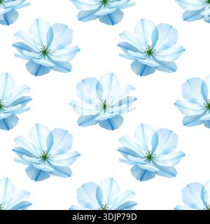 Schönes zartes Muster mit blauen Anemonenblüten gemalt mit digitalen Aquarellen auf weißem Hintergrund. Stockfoto