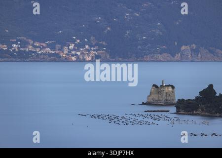 Blick auf eine ruhige Meereslandschaft mit einer felsigen Insel, gekrönt von einem Leuchtturm, umgeben von ruhigem blauem Wasser, Porto Venere, Ligurien, Italien. Stockfoto