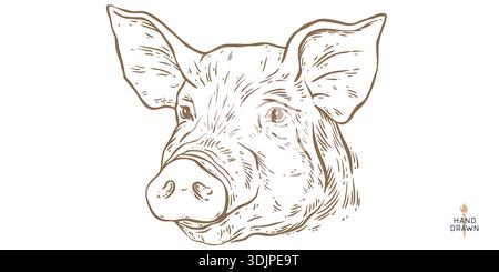 Schweinefleisch, Schwein, Schwein, Fleischskizze, handgezeichnet Stock Vektor