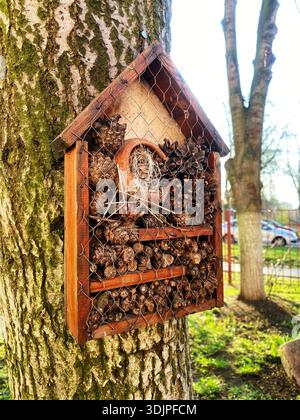 DIY Vogelfutter aus Tannenzapfen und Zweigen ist an einem Baumstamm befestigt, umgeben von Grün und Sonnenlicht in einer Gartenumgebung Stockfoto
