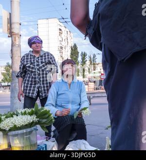 Kiew, Ukraine - 6. Mai 2023 : Kiewer Straßenverkäufer verkaufen Lilien-of-the-Valley auf einem bescheidenen Markt im Freien, freimütige Szene des täglichen Lebens und Frühlingskomme Stockfoto