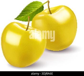 Eine minimalistische und auffällige Illustration vor weißem Hintergrund mit zwei bezaubernden Golden Delicious Äpfeln. Ein stilisiertes grünes Blatt, an einem Feinkostgeschäft befestigt Stock Vektor