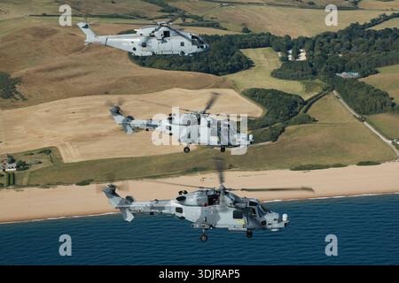 Royal Navy EHI EH101-111 Merlin HM2 Hubschrauber, Registrierung ZH857, Serial 50151, fliegt in enger Formation mit einem AugustaWestland AW159 Wildcat HMA2 während des Royal Navy International Air Day auf RNAS Yeovilton, 2019. Beide Hubschrauber werden für U-Boot- und Patrouilleneinsätze eingesetzt. Der Merlin HM2 wird von drei Rolls-Royce Turbomeca RTM322-01 Turbomeca-Motoren angetrieben, der Wildcat HMA2 hat zwei RTM322-Motoren. Die Standardmarkierungen der Royal Navy sind sichtbar. Stockfoto