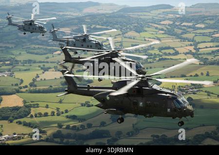 Eine Royal Navy Formation von AugustaWestland AW101 Merlin Mk4/HC4 und EHI EH101‑111 Merlin HM2 Hubschrauber wird auf dem Royal Navy International Air Day 2019 auf RNAS Yeovilton gezeigt. Der mittelschwere Hubschrauber AW101 wird von drei Turbowellenmotoren angetrieben und für den Transport konfiguriert, während der Merlin HM2 eine Marinevariante ist, die für U-Boot- und Marinepatrouillenrollen optimiert ist. Stockfoto