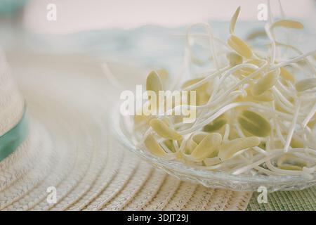 Ein Nahbild von frischen grünen Sprossen, die in eine Glasschale gelegt und auf eine gewebte Oberfläche gestellt werden. Die Sprossen sind lebendig und gesund, was darauf hindeutet, dass man sich auf Fre konzentriert Stockfoto