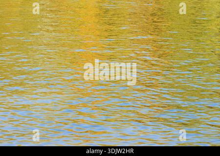 Laubbäume spiegeln sich im Herbst in Nordrhein-Westfalen auf einer Wasseroberfläche Stockfoto