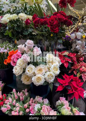Rosen zum Verkauf auf einem Straßenmarkt   Paris, Frankreich Stockfoto