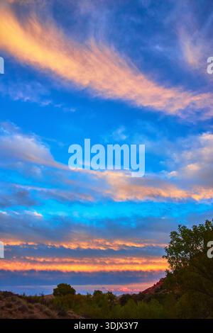 Farbenfroher Wüstenhimmel bei Sonnenuntergang mit dramatischen Wolken und Silhouettenbäumen Stockfoto