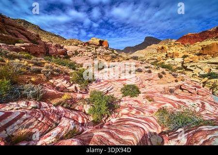 Red Rock Canyon, die Sandsteinformationen und die Wüstenvegetation unter dem blauen Himmel Stockfoto