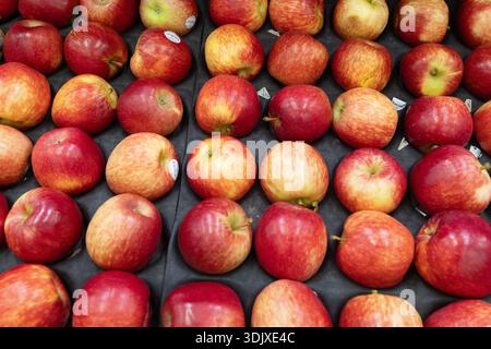 Frische rote Äpfel, die in ordentlichen Reihen in einem Supermarkt präsentiert werden, zeigen reifes, zum Verkauf bereites Obst. Stockfoto
