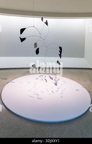 Arc der Blütenblätter, von Alexander Calder, 1941, Peggy Guggenheim Collection, Venedig, Italien, Europa Stockfoto