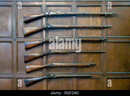 Alte Musketen, ausgestellt an einer holzgetäfelten Wand in einem historischen Innenraum, antike Schusswaffen und historische Waffensammlung Stockfoto