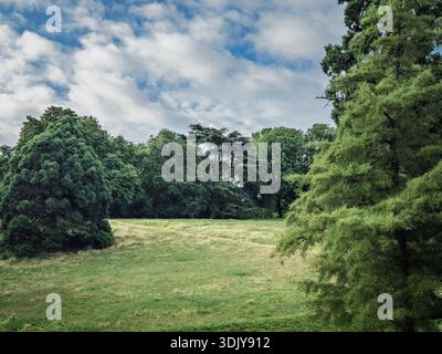 Malerischer Blick auf grüne, grasbewachsene Hügel und reife Bäume im Parc des Buttes-Chaumont an einem bewölkten Tag in Paris. Der Parc des Buttes ist ein großer Grünpark in Stockfoto