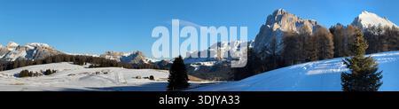 Panorama-Winterblick auf die Berggruppen Langkofel und Plattkofel auf der Seiser Alm im Hochplateau Stockfoto