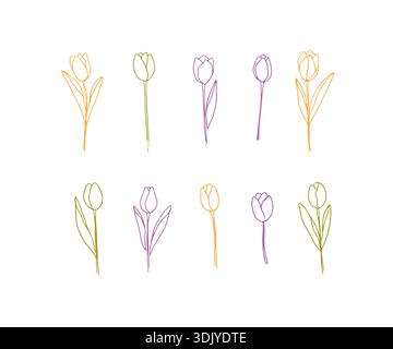 Set von handgezeichneten Frühlingsblumen Tulpen Stock Vektor