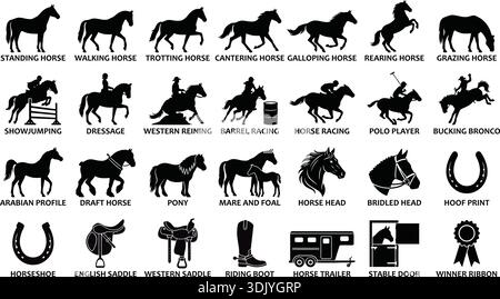 Ultraflache Vektorpiktogramme mit 25 detaillierten schwarzen Silhouetten von Pferden in verschiedenen Posen (Galopp, Trab, Heck), plus Weite, Reitausrüstung, und Co Stock Vektor