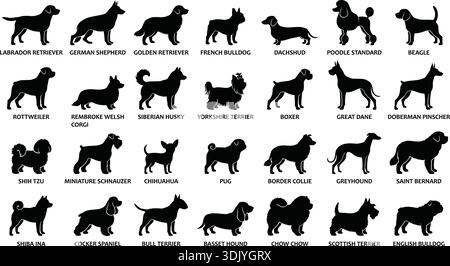 Diese ultraflache Vektor-Infografik zeigt die Profile von 28 gängigen Hunderassen, einschließlich Dackeln und Boxern. Alle schwarzen Silhouetten Stock Vektor