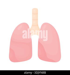 Illustration des menschlichen Lungenvektors. Isoliertes Lungen-Symbol mit einfachen Formen und flachem Design für Gesundheitswesen, Bildung, Infografik, Web, App Stock Vektor