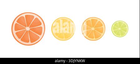 Ein Satz Zitrusfrüchte-Scheiben auf weißem Hintergrund. Scheiben Grapefruit, Zitrone, Orange und Limette. Stock Vektor