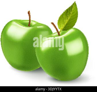 Eine minimalistische und auffällige Illustration auf weißem Hintergrund mit zwei bezaubernden grünen Äpfeln. Ein stilisiertes Blatt, an einem zarten Stiel befestigt, komp Stock Vektor