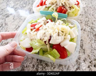 Frische Salatmahlzeiten in Behältern für gesunde Ernährung Stockfoto