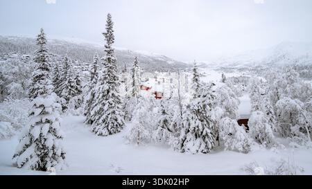 Frostige und schneebedeckte norwegische Bäume in Gaustablikk (Tinn, Telemark) im Januar. Stockfoto