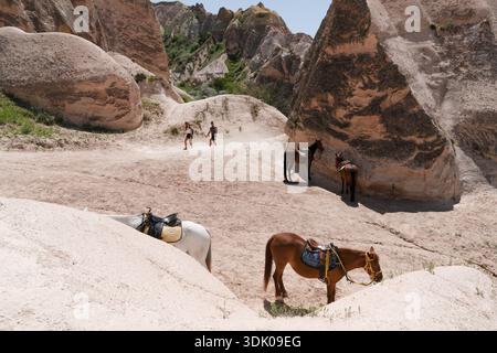 Kappadokien, Türkei - 18. Mai 2025: Paare wandern in einem Sandtal in Kappadokien vorbei an Sattelpferden und warten auf Touren Stockfoto